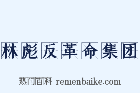 林彪反革命集团是什么意思的图片
